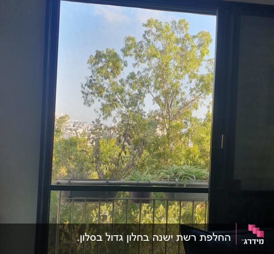 חלון עם מסגרת אלומיניום ועציצים על אדן החלון